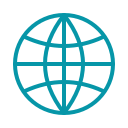 Foreign trust documents (if applicable)